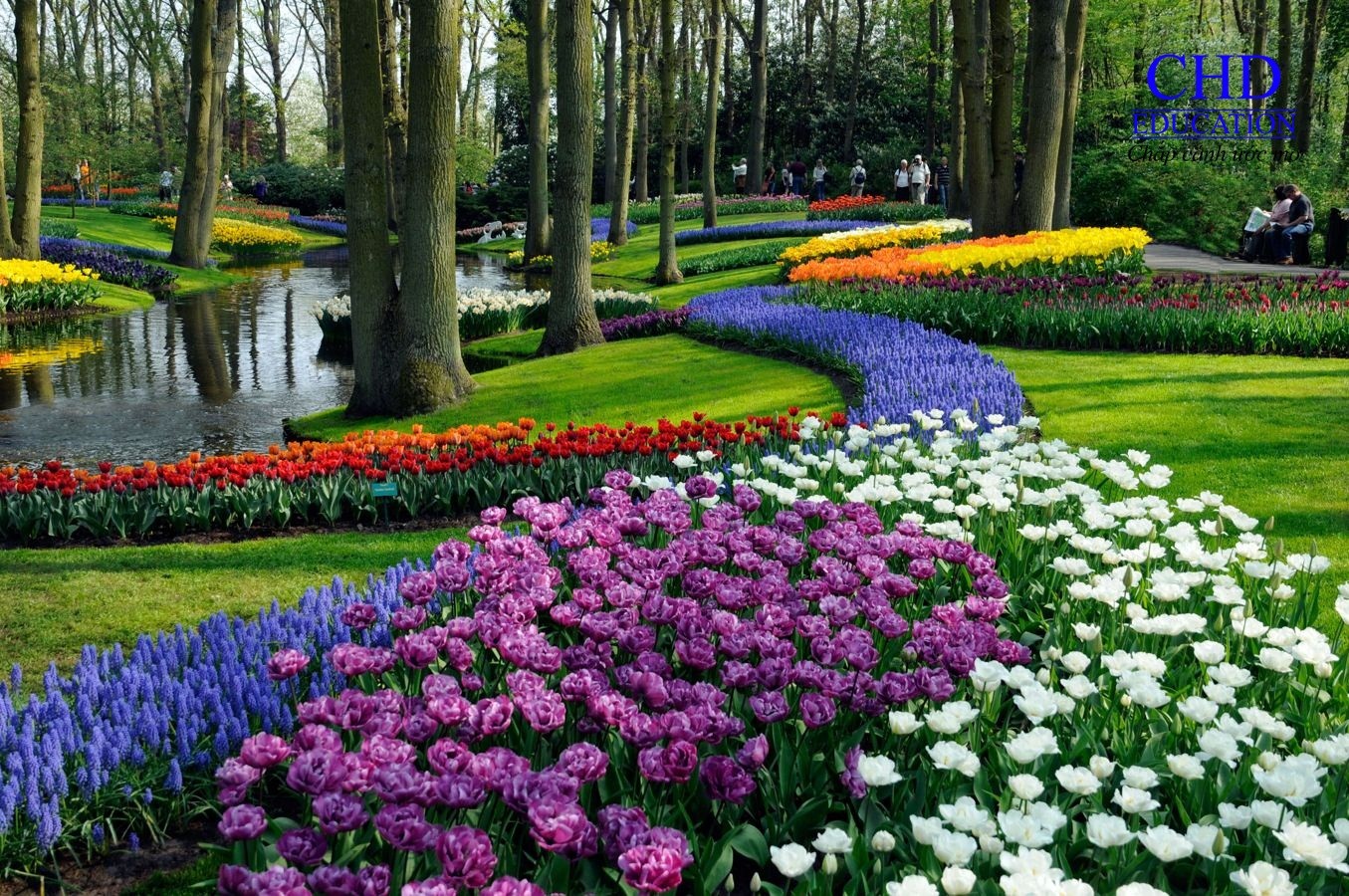  Tận hưởng hương sắc 4 mùa tại Hà Lan